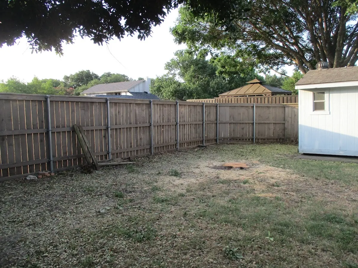 Cleared yard after professional tree removal in Virginia
