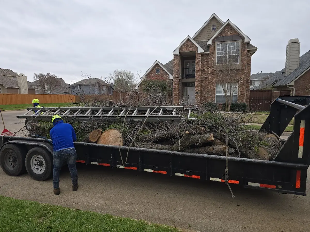 Expert Tree Removal with proper safety equipment in Virginia